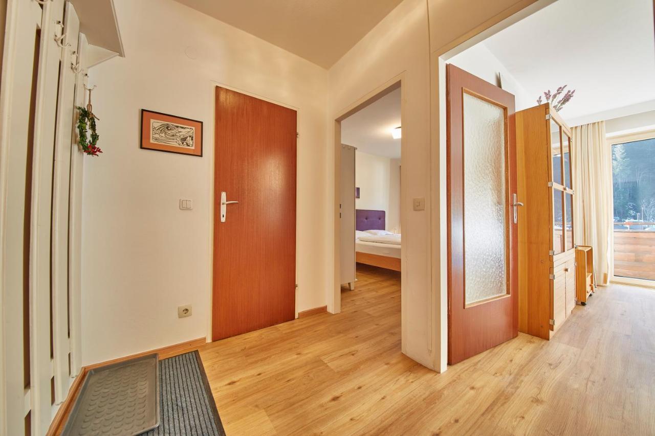 Appartement Delight ザールバッハ・ヒンターグレム エクステリア 写真